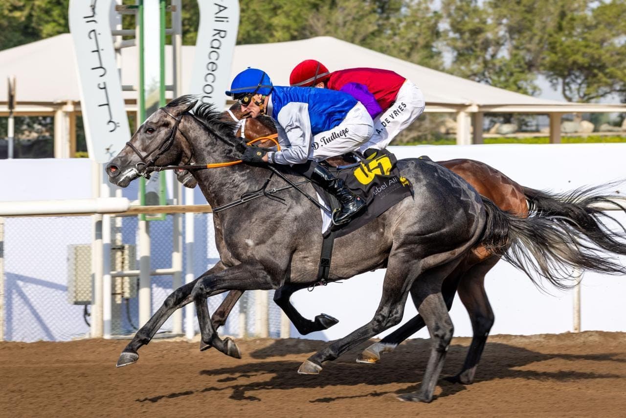 A grey racehorse and its jockey in blue silks winning a close finish on a dirt track