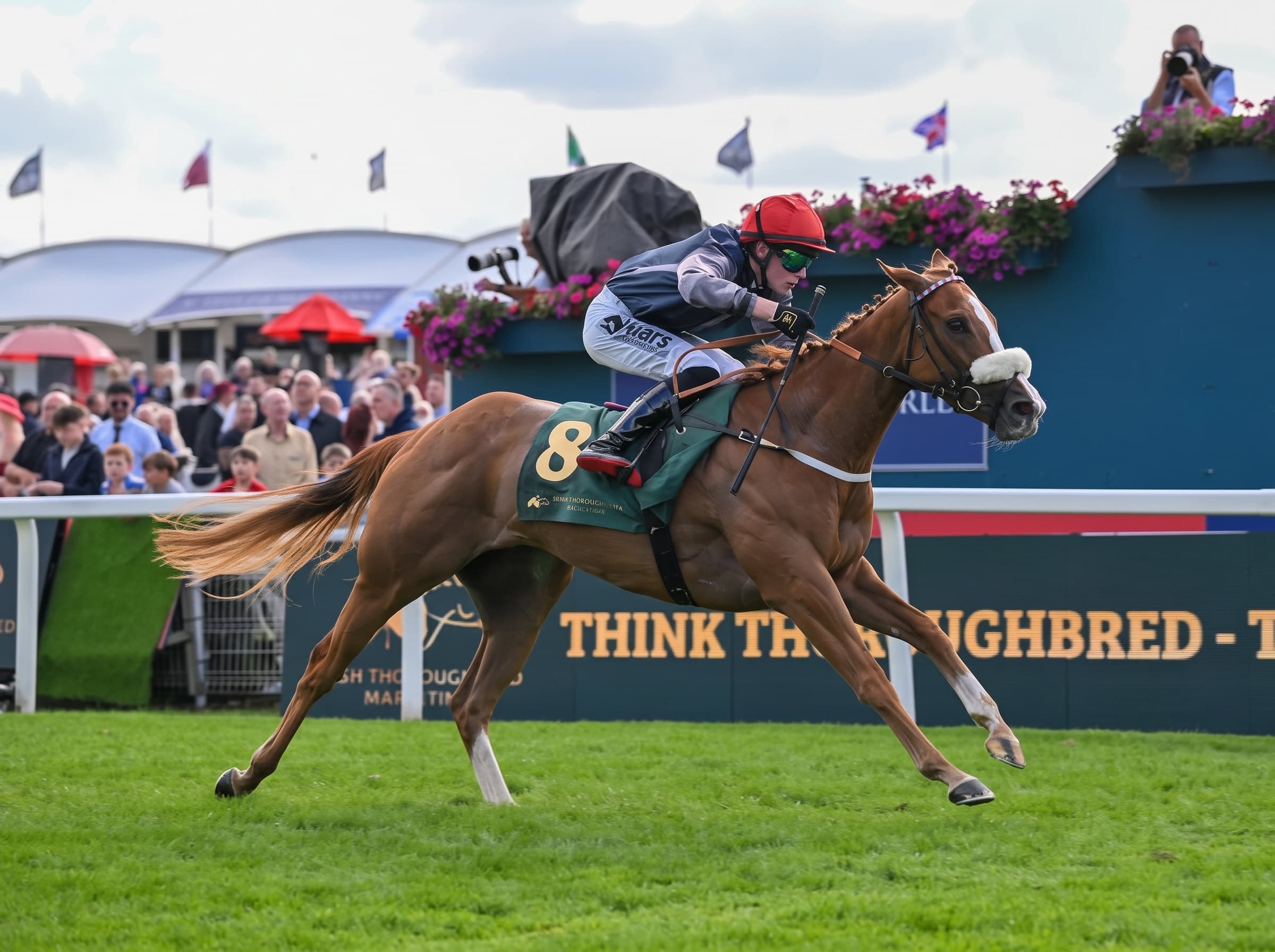 A chestnut racehorse and its jockey galloping on the turf in front of the grandstand