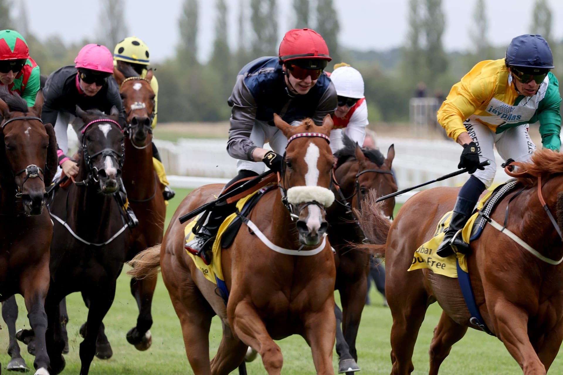 A chestnut racehorse with a white blaze and its jockey in navy silks and a red helmet racing in front of the field on the turf