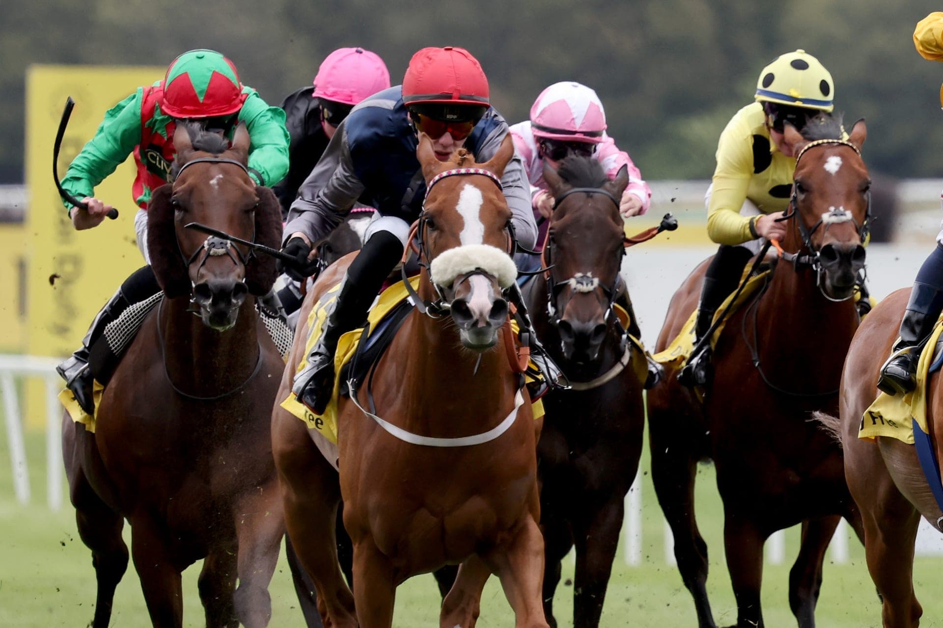 A chestnut racehorse with a white blaze and its jockey in navy silks and a red helmet, in front of the field on the turf